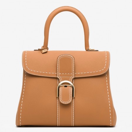 Delvaux Brillant MM Surpique Bag in Brown Rodeo Calf Leather