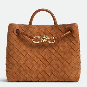 Bottega Veneta Andiamo Small Bag in Brown Intrecciato Suede