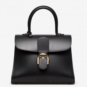 Delvaux Brillant MM Bag in Black Box Calf Leather