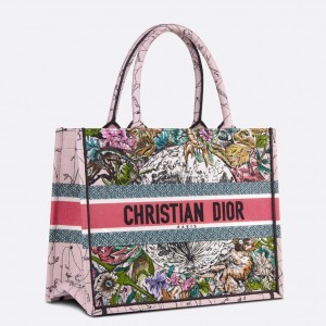 Dior Small Book Tote In Multicolor Dior Constellation Embroidery