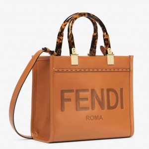 Fendi Sunshine Small Tote Bag In Brown Calfskin