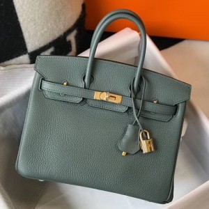 Hermes Birkin 25cm Bag In Vert Amande Clemence Leather