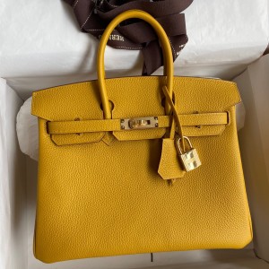 Hermes Birkin 25 Retourne Handmade Bag In Jaune Ambre Clemence Leather