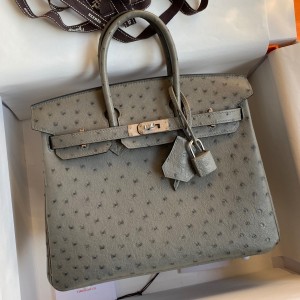 Hermes Birkin 25 Retourne Handmade Bag In Gris Tourterelle Ostrich Leather