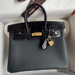 Hermes Touch Birkin 25 Bag in Black Togo and Shiny Alligator Leather