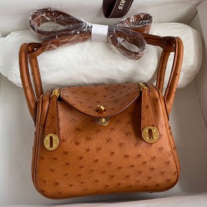 Hermes Mini Lindy Handmade Bag In Gold Ostrich Leather