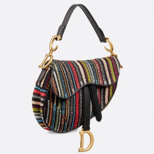 Dior Saddle Canvas Bag Embroidered With Multi-coloured Stripes