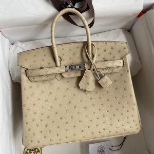 Hermes Birkin 25 Retourne Handmade Bag In Parchemin Ostrich Leather