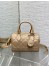 Dior Groove 20 Bag in Biscuit Macrocannage Calfskin