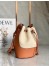 Loewe Small Balloon Bucket Bag In Canvas