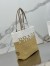 Prada Crochet Small Tote Bag in Beige/White Raffia-effect Yarn