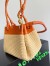 Bottega Veneta Parachute Small Bag in Natural Raffia 