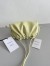 Bottega Veneta Mini Pouch Bag In Zest Washed Calfskin