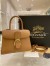 Delvaux Brillant PM Bag in Tender Beige Box Calf Leather