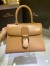 Delvaux Brillant MM Bag in Tender Beige Box Calf Leather