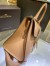 Delvaux Brillant MM Bag in Tender Beige Box Calf Leather