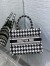 Dior Small Book Tote Bag In Micro Houndstooth Embroidery 