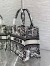 Dior Small Book Tote Bag In White Plan de Paris Embroidery