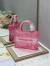 Dior Small Book Tote Bag In Pink Transparent Toile de Jouy Canvas