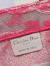Dior Small Book Tote Bag In Pink Transparent Toile de Jouy Canvas