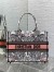 Dior Medium Book Tote Bag in Butterfly Around The World Embroidery