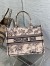 Dior Medium Book Tote Bag In Powder Pink Jardin Botanique Embroidery