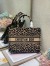 Dior Medium Book Tote In Beige Multicolor Mizza Embroidery