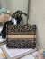 Dior Medium Book Tote In Beige Multicolor Mizza Embroidery