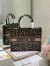 Dior Medium Book Tote In Beige Multicolor Mizza Embroidery