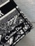 Dior Medium Book Tote Bag In Black Plan de Paris Embroidery 