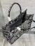 Dior Medium Book Tote Bag In Black Plan de Paris Embroidery 