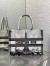 Dior Medium Book Tote Bag in White and Black Paris Embroidery