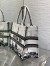 Dior Medium Book Tote Bag in White and Black Paris Embroidery