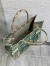 Dior Medium Dioriviera Book Tote in Raffia with Green Toile de Jouy Sauvage Embroidery