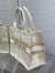 Dior Medium Book Tote Bag In Gold Rêve d'Infini Embroidery