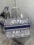 Dior Medium Dior Book Tote In White and Blue Rêve d'Infini Embroidery