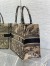 Dior Medium Book Tote Bag In Beige Toile de Jouy Voyage Embroidery