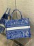 Dior Medium Book Tote Bag In Fluorescent Blue Toile de Jouy Reverse Embroidery