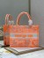 Dior Medium Book Tote Bag In Orange Transparent Toile de Jouy Canvas