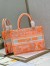 Dior Medium Book Tote Bag In Orange Transparent Toile de Jouy Canvas