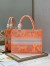 Dior Medium Book Tote Bag In Orange Transparent Toile de Jouy Canvas