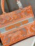 Dior Medium Book Tote Bag In Orange Transparent Toile de Jouy Canvas