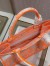 Dior Medium Book Tote Bag In Orange Transparent Toile de Jouy Canvas