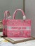 Dior Medium Book Tote Bag In Pink Transparent Toile de Jouy Canvas