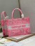Dior Medium Book Tote Bag In Pink Transparent Toile de Jouy Canvas