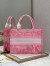 Dior Medium Book Tote Bag In Pink Transparent Toile de Jouy Canvas