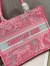 Dior Medium Book Tote Bag In Pink Transparent Toile de Jouy Canvas