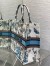 Dior Large Book Tote Bag in White and Blue Toile de Jouy Mexico Embroidery 