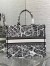 Dior Large Book Tote Bag In White Plan de Paris Embroidery