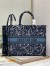 Dior Large Book Tote In Blue Dior Roses Embroidery